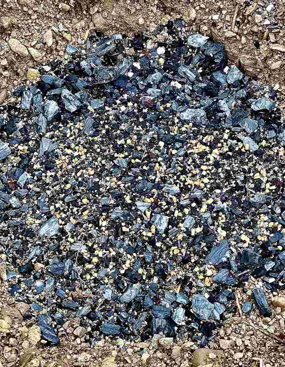 APF Biochar Building Key Soil Habitat2