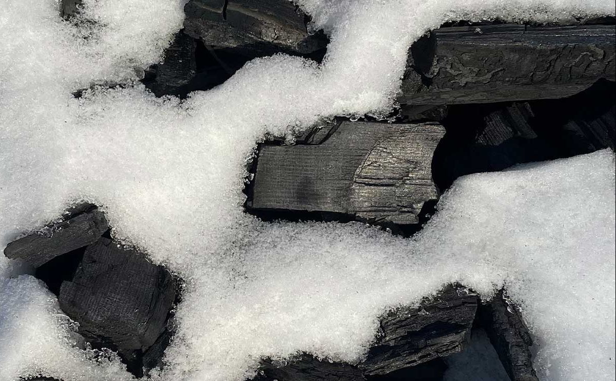 APF Biochar carbon capture and biochar