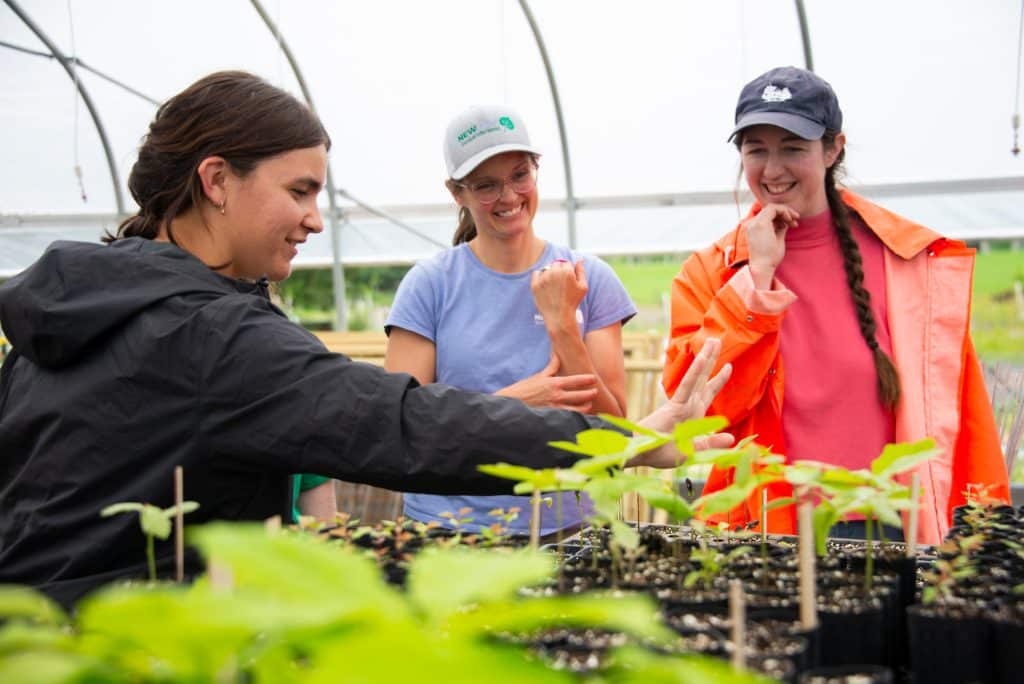 Three woman looking at tree starts in a green house.